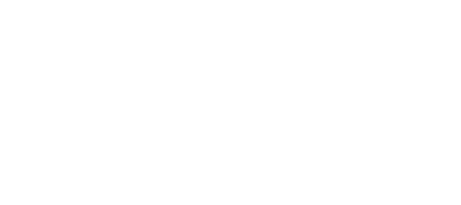 RISE© wordmark